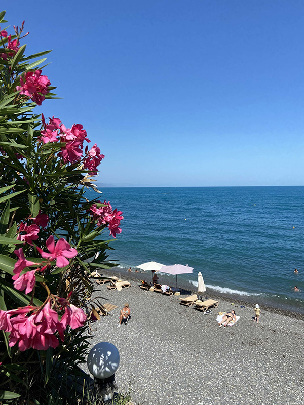 Отдых летом в Алуште: набережная